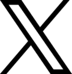 twitter Icon
